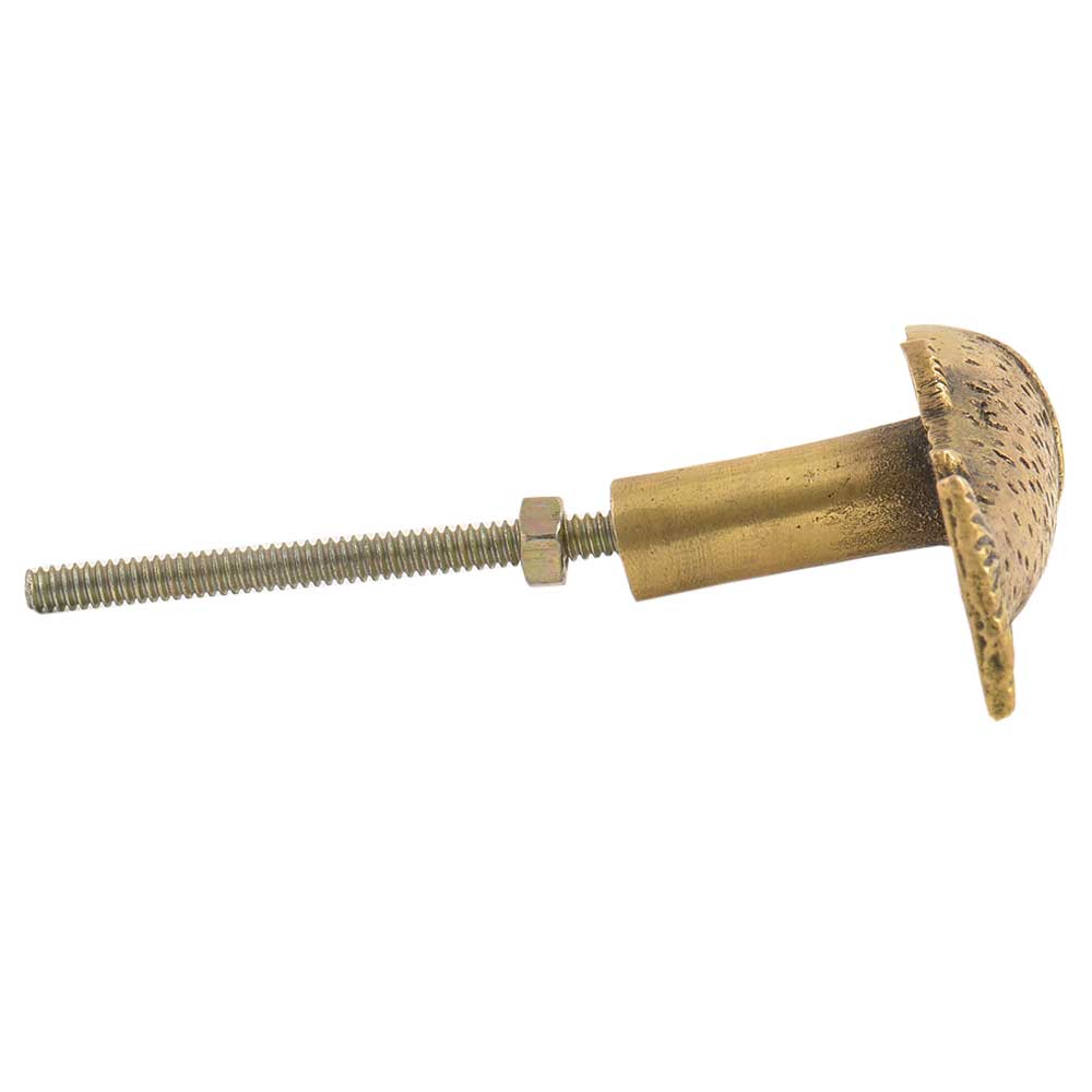 Brass Fish Dresser Knob