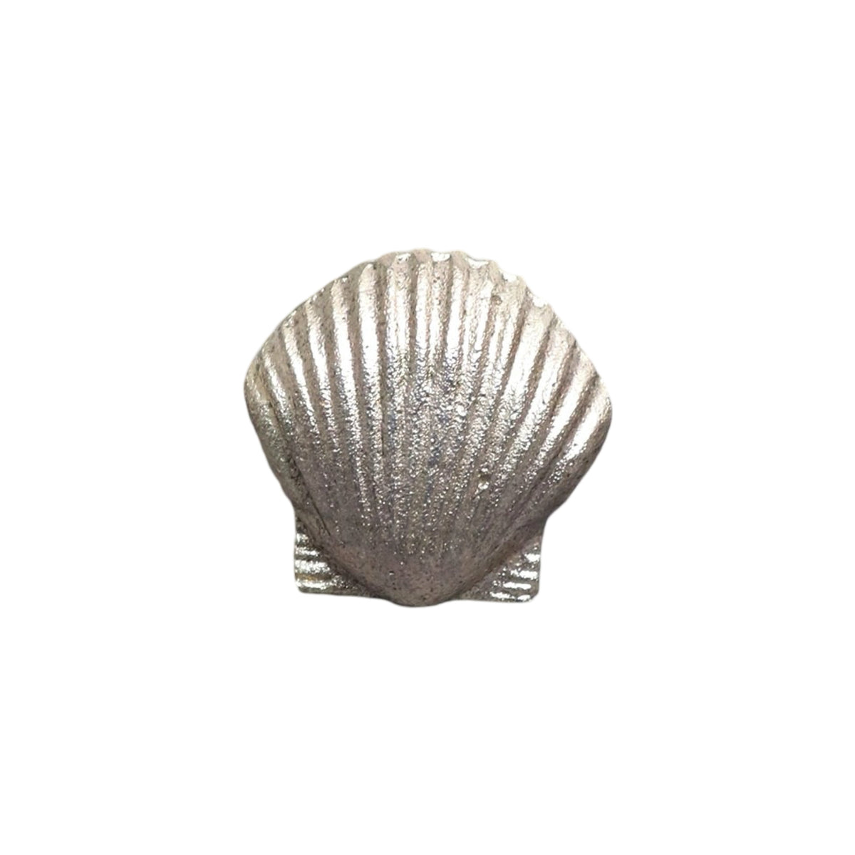 Shelly Seashell Knob