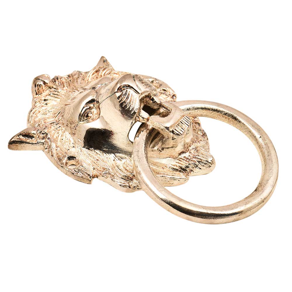 Silver Brass Medium Lion Door Knocker